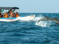 boat-tour-packages-small-4