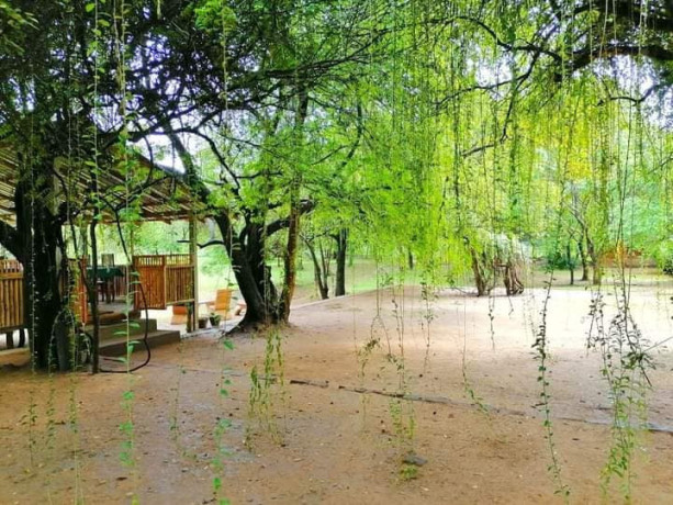 clay-hut-village-polonnaruwa-big-1
