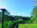 diya-ulpatha-tea-garden-resort-small-1