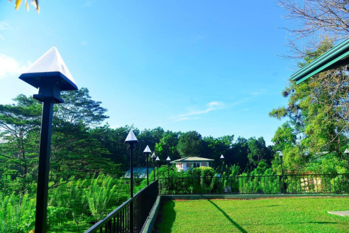 diya-ulpatha-tea-garden-resort-big-1