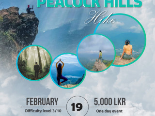 Peacock hill hike - Piyapath