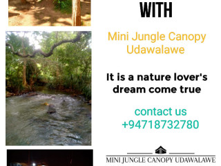 Mini Jungle Canopy Udawalawe