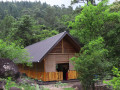 forest-heaven-eco-resort-belhuloya-small-0
