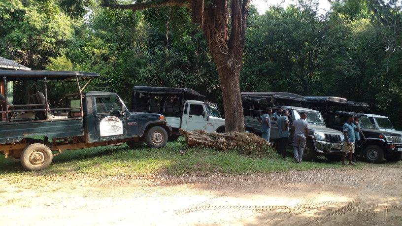 wasgamuwa-sampath-safari-jeep-big-0