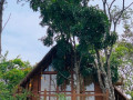 kale-cottages-belihuloya-small-0