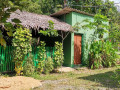 evergreen-villa-nature-resort-anuradhapura-small-1