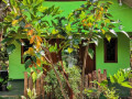 evergreen-villa-nature-resort-anuradhapura-small-0