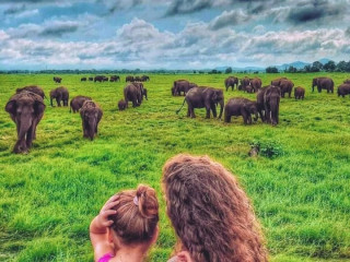 Amazing Safari Experience in Sri Lanka