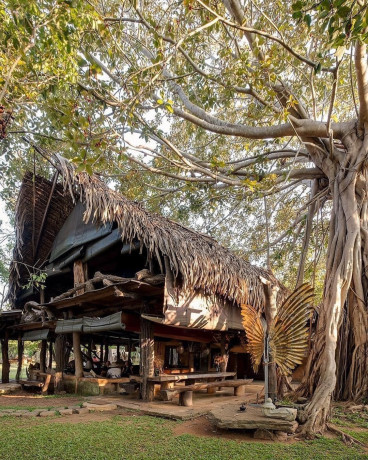 banyan-camp-in-hambegamuwa-big-4