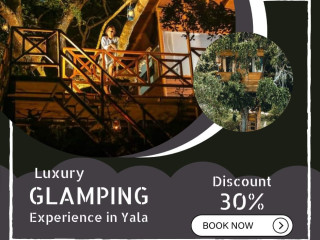 Glamping Experience in Yala