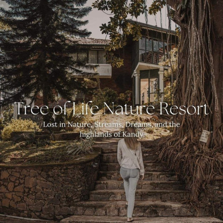 tree-of-life-nature-resort-in-kandy-big-0