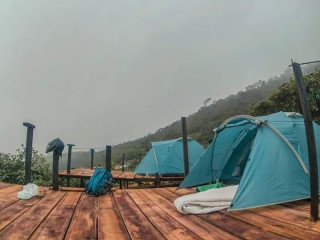 Redwood Hillside Camping