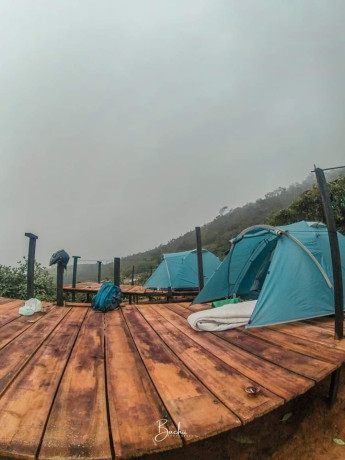 redwood-hillside-camping-big-0