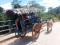 village-tour-experience-in-habarana-small-3
