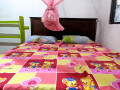 budget-accommodation-from-kandy-small-1