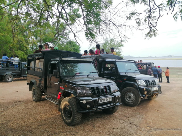 jeep-safari-habarana-big-0