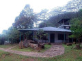 sir-johns-bungalow-matale-small-1
