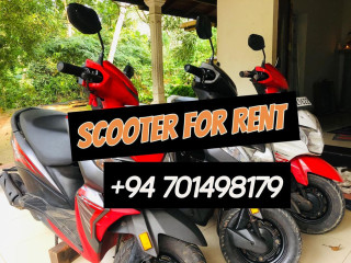 Scooter for rental down south