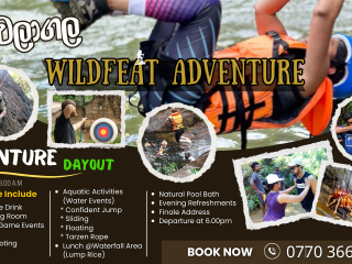 Day Out Adventure Budget Package