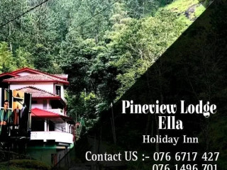 Pineview Lodge Ella