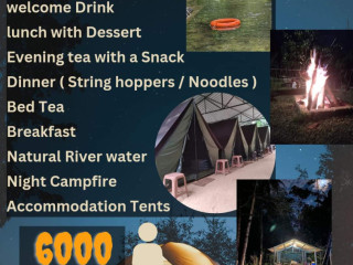 Great camping experiences