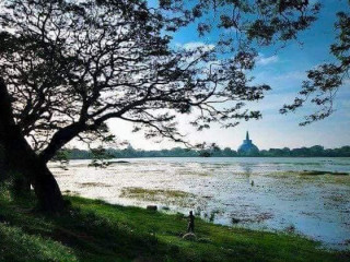 Rajadhani Rest - Anuradhapura