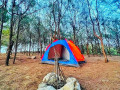 dolphin-wadiya-beach-camping-in-kalpitiya-small-0