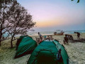 baththalangunduwa-beach-camping-kalpitiya-small-1