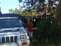 habarana-prasad-jeep-safari-small-2