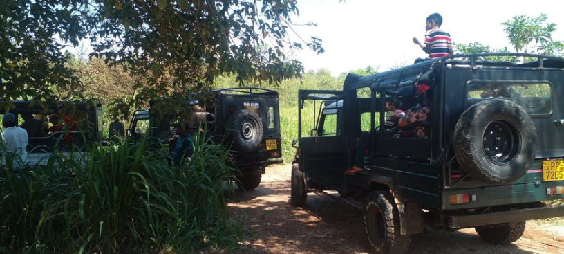 habarana-prasad-jeep-safari-big-3