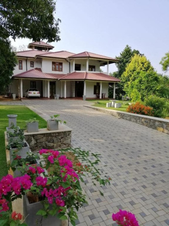 golden-residence-anuradhapura-big-4