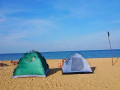 dolphin-wadiya-beach-camping-site-small-1