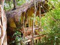 mutu-village-tree-house-experience-small-3