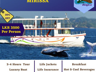 Whale Watching- Mirissa