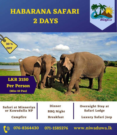 safari-in-minneriyakaudulla-national-park-big-0