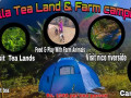 malgalla-tea-land-farm-camping-site-small-3