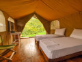 wild-glamping-knuckles-small-2