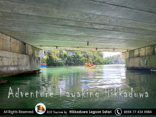 Hikkaduwa Lagoon Safari and Adventure Kayaking