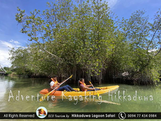 hikkaduwa-lagoon-safari-and-adventure-kayaking-big-3
