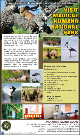 kumana-national-park-safari-big-0