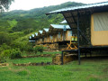 glamping-site-knucklessri-lanka-small-3