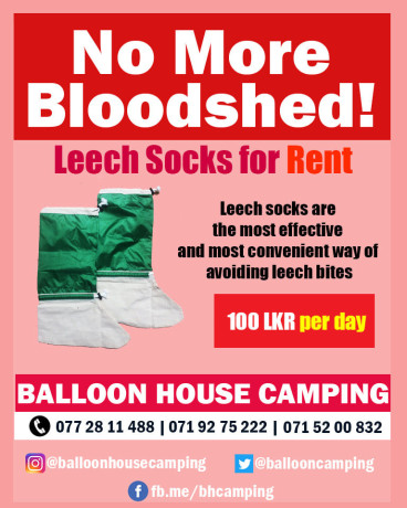 leech-socks-for-rent-big-0