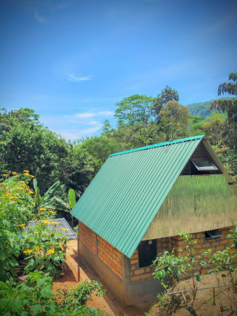 rainforest-clay-cabin-in-deniyaya-big-1