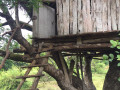 tree-house-habarana-small-4