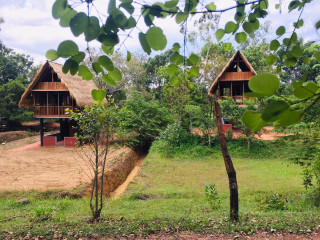 Tree House Habarana