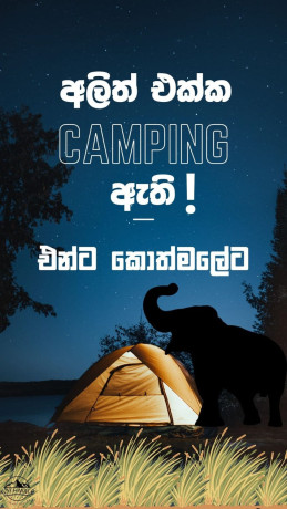 camping-in-kotmale-a-safe-and-affordable-way-to-enjoy-the-great-outdoors-big-0
